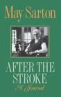 After The Stroke - Preview