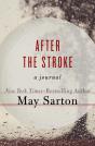 After The Stroke - Preview