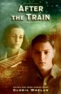 After The Train - Preview