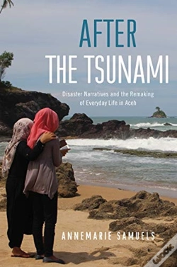 Capa do artigo After The Tsunami