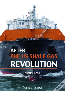 Capa do artigo After The Us Shale Gas Revolution