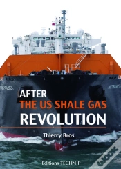 Capa do artigo After The Us Shale Gas Revolution