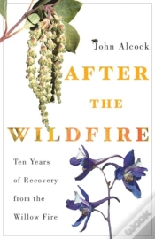 Capa do artigo After The Wildfire