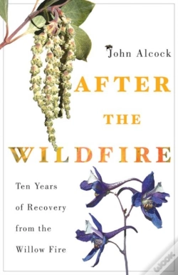 Capa do artigo After The Wildfire