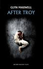 After Troy - Preview