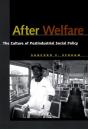 After Welfare - Preview