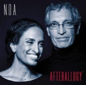 Capa do artigo Afterallogy - Vinil