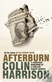 Capa do artigo Afterburn