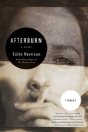 Afterburn - Preview