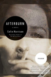Capa do artigo Afterburn