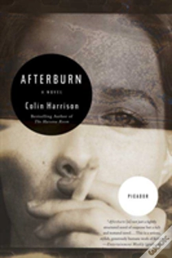 Capa do artigo Afterburn