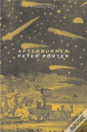 Capa do artigo Afterburner