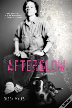 Capa do artigo Afterglow