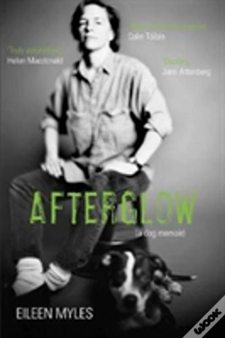 Capa do artigo Afterglow