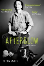 Capa do artigo Afterglow