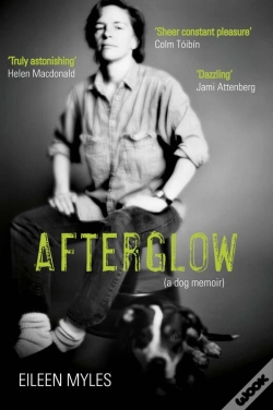 Capa do artigo Afterglow