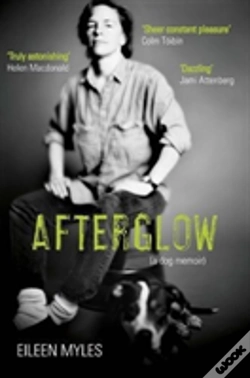 Capa do artigo Afterglow