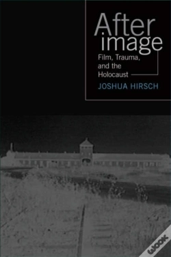 Capa do artigo Afterimage
