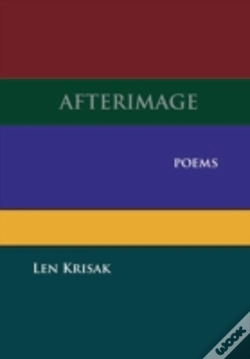 Capa do artigo Afterimage