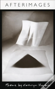 Capa do artigo Afterimages