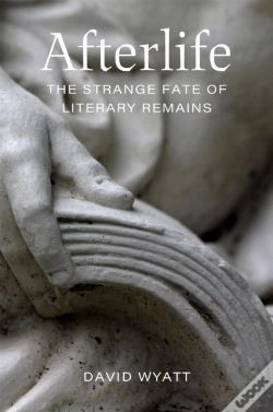 Capa do artigo Afterlife