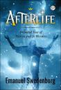 Afterlife - Preview
