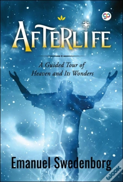 Capa do artigo Afterlife