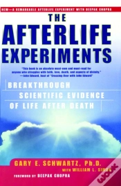 Capa do artigo Afterlife Experiments