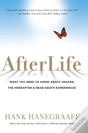 Capa do artigo Afterlife