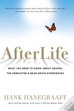 Capa do artigo Afterlife