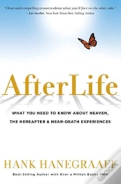 Capa do artigo Afterlife