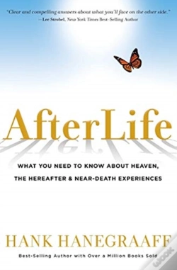 Capa do artigo Afterlife