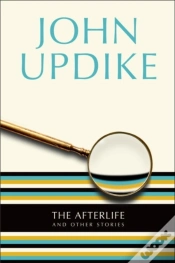 Capa do artigo Afterlife