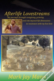 Capa do artigo Afterlife Lovestreams