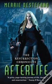 Capa do artigo Afterlife