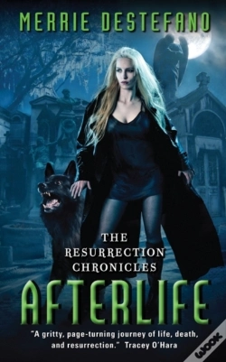 Capa do artigo Afterlife