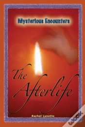 Capa do artigo Afterlife