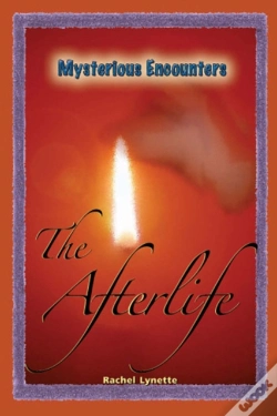 Capa do artigo Afterlife