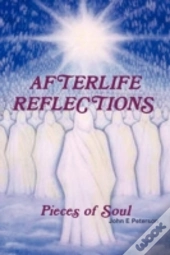 Afterlife Reflections