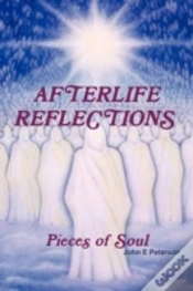 Capa do artigo Afterlife Reflections