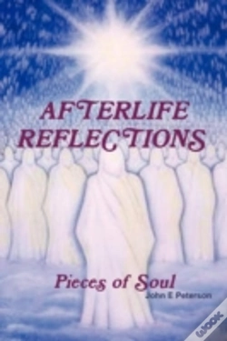 Capa do artigo Afterlife Reflections