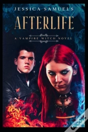 Capa do artigo Afterlife