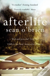 Capa do artigo Afterlife