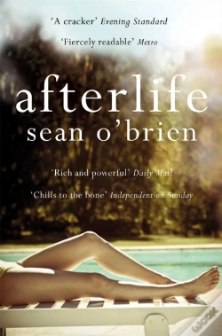 Capa do artigo Afterlife