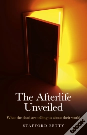Capa do artigo Afterlife Unveiled