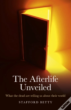 Capa do artigo Afterlife Unveiled