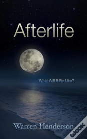Capa do artigo Afterlife