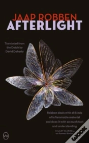 Capa do artigo Afterlight