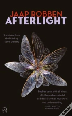 Capa do artigo Afterlight