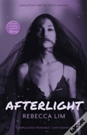 Capa do artigo Afterlight